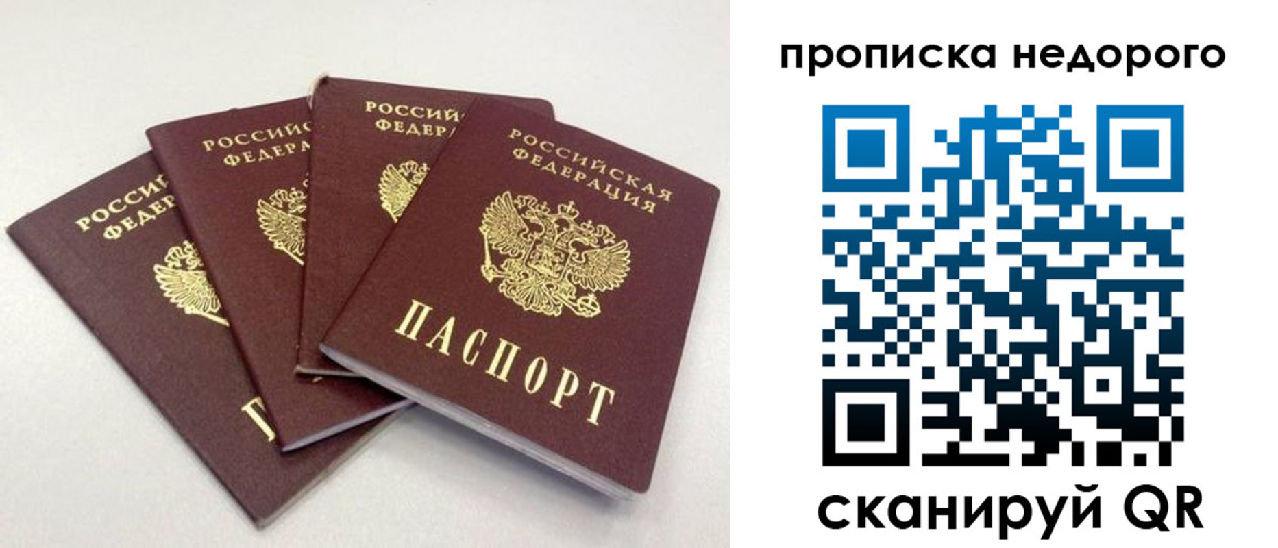прописка законно в Старом Осколе